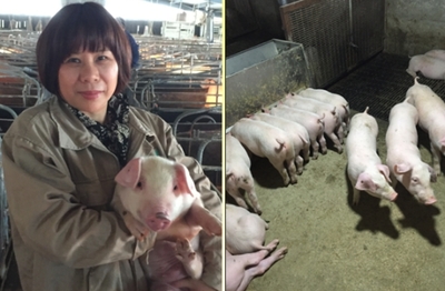 福建佑康农业:打造“生猪健康养殖整体解决方案”